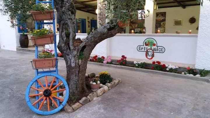 Village Valle D'Oro Aparthotel San Menaio Bagian luar foto